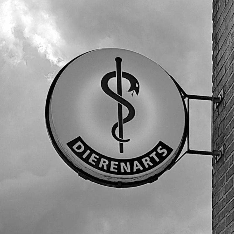 Malden - Dierenartsenpraktijk Malden-Mook